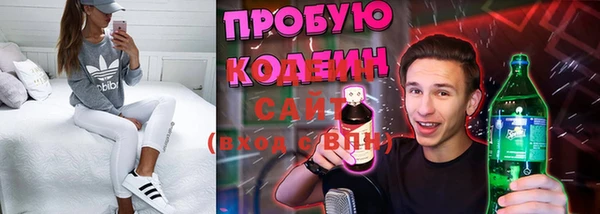 шишки Мегион