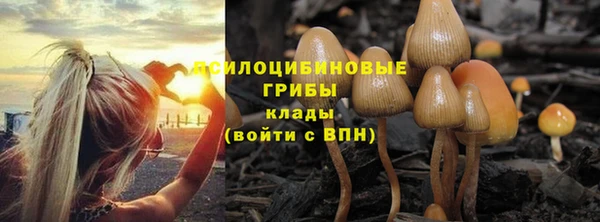 мескалин Медногорск