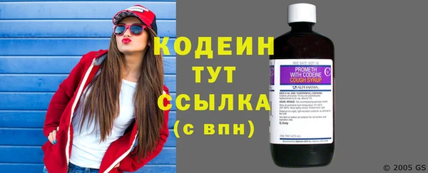 шишки Мегион