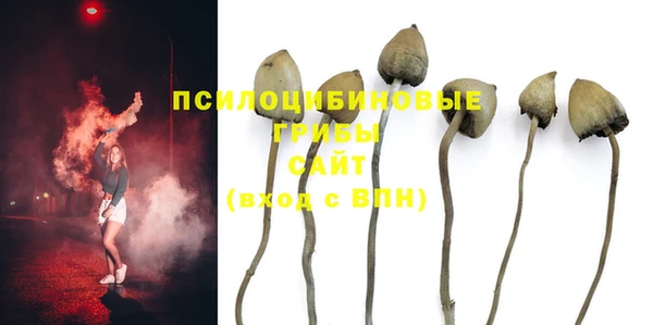 COCAINE Медвежьегорск