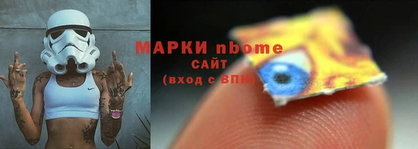 шишки Мегион