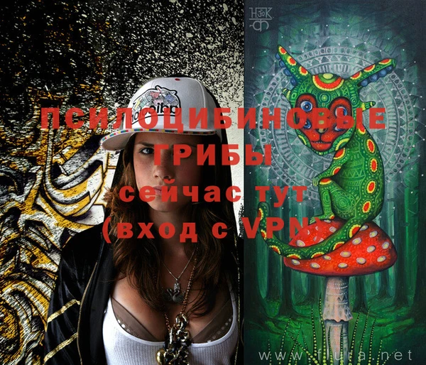 шишки Мегион