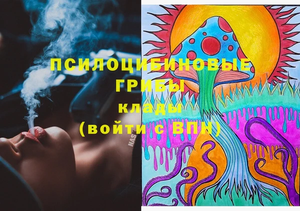 шишки Мегион