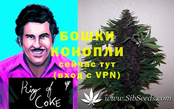 шишки Мегион