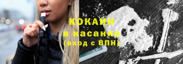 шишки Мегион