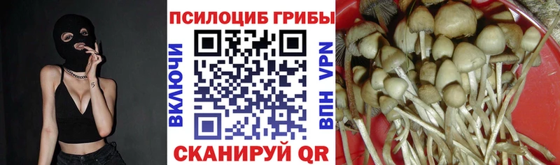 Галлюциногенные грибы MAGIC MUSHROOMS  Тбилисская 